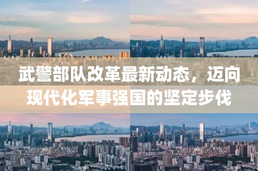 武警部队改革最新动态，迈向现代化军事强国的坚定步伐
