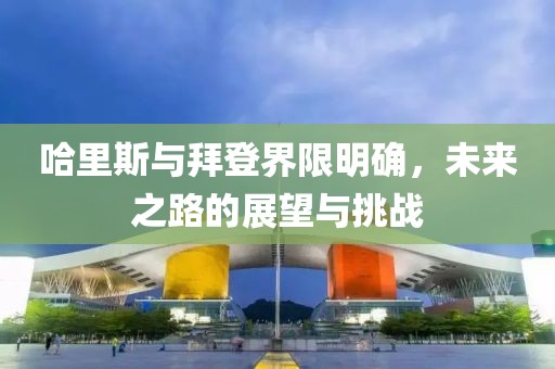 哈里斯与拜登界限明确，未来之路的展望与挑战
