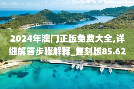 2024年澳门正版免费大全,详细解答步骤解释_复刻版85.62