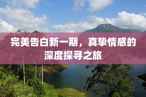 完美告白新一期，真挚情感的深度探寻之旅