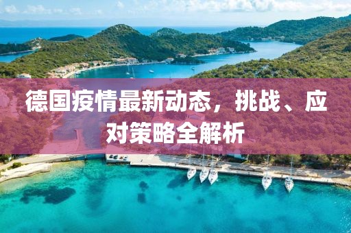 德国疫情最新动态，挑战、应对策略全解析