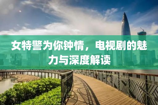 女特警为你钟情，电视剧的魅力与深度解读