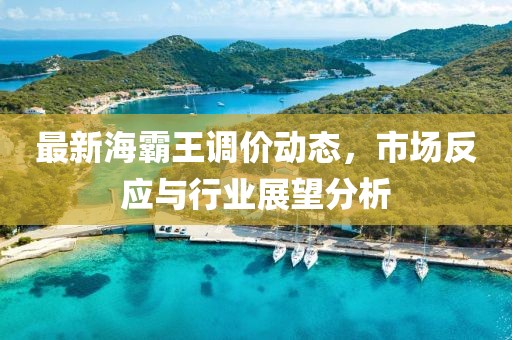 最新海霸王调价动态，市场反应与行业展望分析