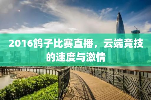 2016鸽子比赛直播，云端竞技的速度与激情