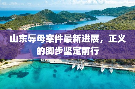 山东辱母案件最新进展，正义的脚步坚定前行