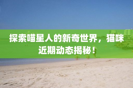 探索喵星人的新奇世界，猫咪近期动态揭秘！