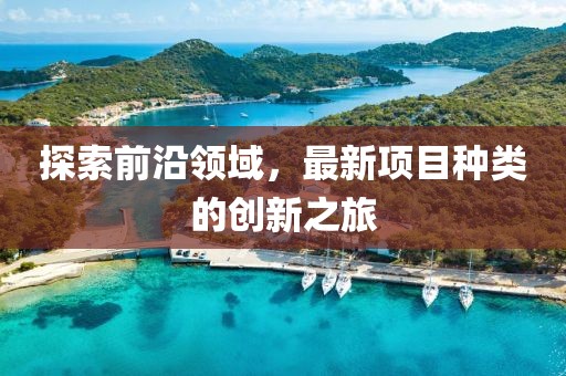 探索前沿领域，最新项目种类的创新之旅
