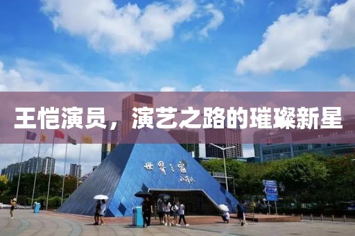 王恺演员，演艺之路的璀璨新星