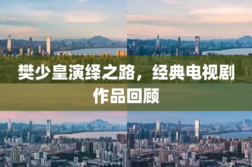 樊少皇演绎之路，经典电视剧作品回顾
