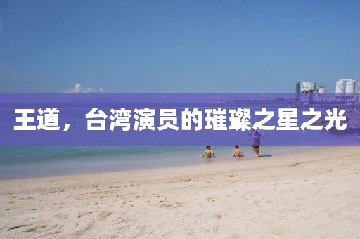 王道，台湾演员的璀璨之星之光