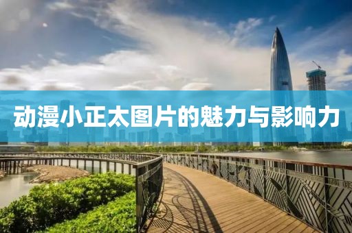 动漫小正太图片的魅力与影响力