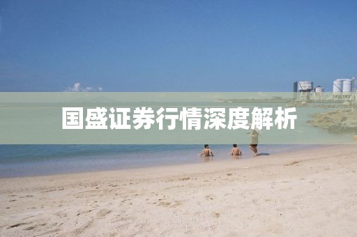 国盛证券行情深度解析