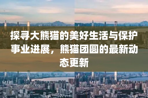 探寻大熊猫的美好生活与保护事业进展，熊猫团圆的最新动态更新