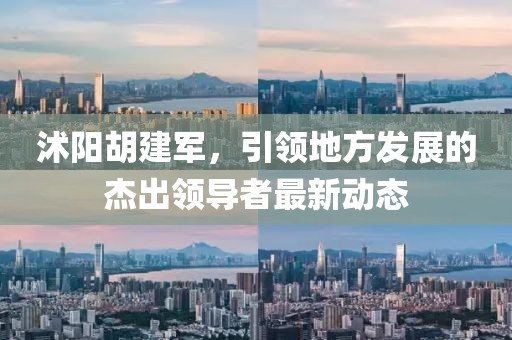 沭阳胡建军，引领地方发展的杰出领导者最新动态
