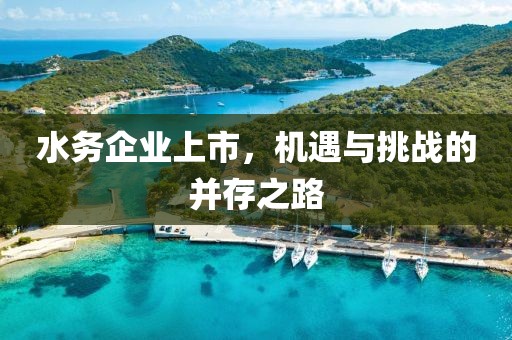 水务企业上市，机遇与挑战的并存之路