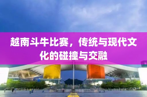 越南斗牛比赛，传统与现代文化的碰撞与交融