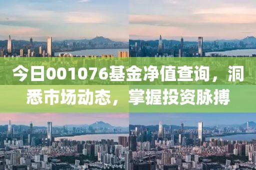 今日001076基金净值查询，洞悉市场动态，掌握投资脉搏