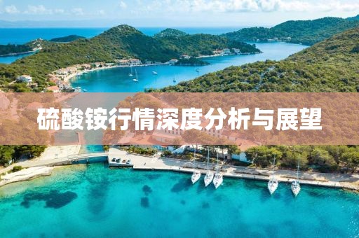 硫酸铵行情深度分析与展望
