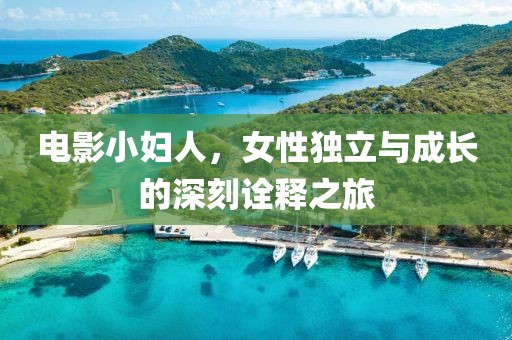 电影小妇人，女性独立与成长的深刻诠释之旅