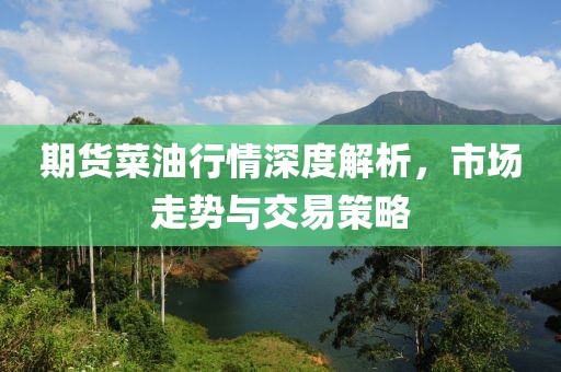 期货菜油行情深度解析，市场走势与交易策略