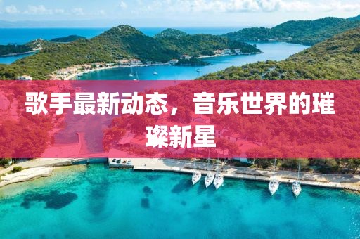 歌手最新动态，音乐世界的璀璨新星