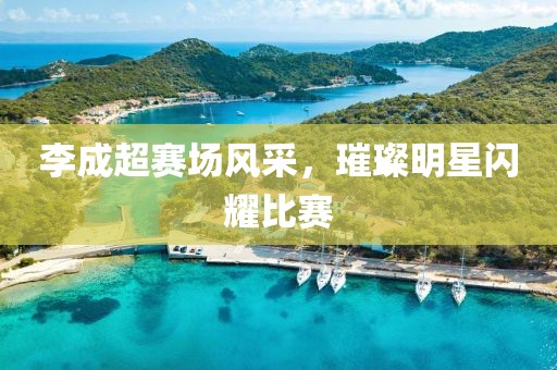 李成超赛场风采，璀璨明星闪耀比赛