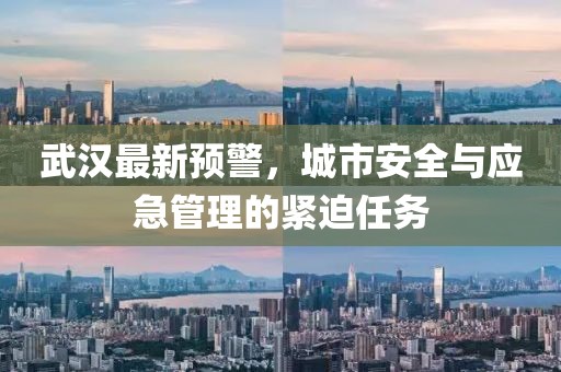 武汉最新预警，城市安全与应急管理的紧迫任务