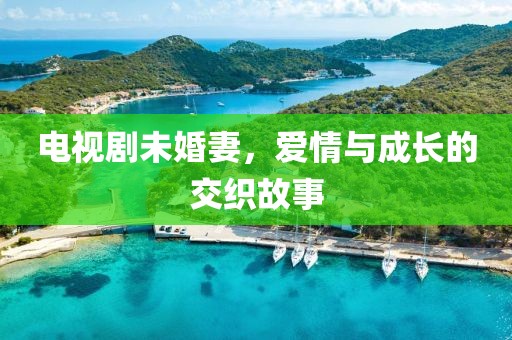 电视剧未婚妻，爱情与成长的交织故事