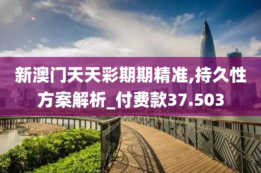 新澳门天天彩期期精准,持久性方案解析_付费款37.503