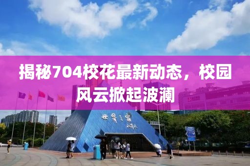 揭秘704校花最新动态，校园风云掀起波澜