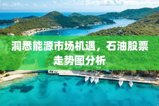 洞悉能源市场机遇，石油股票走势图分析