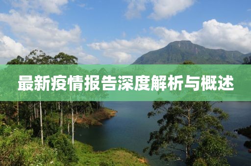 最新疫情报告深度解析与概述