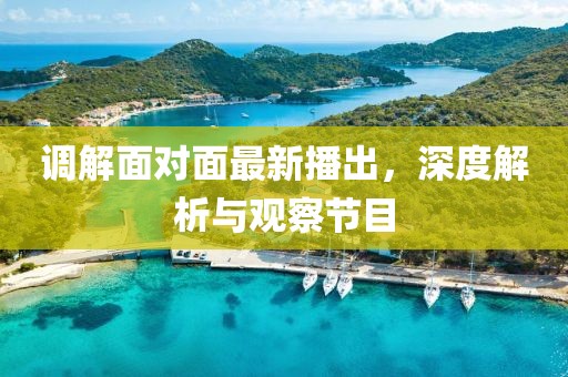 调解面对面最新播出，深度解析与观察节目