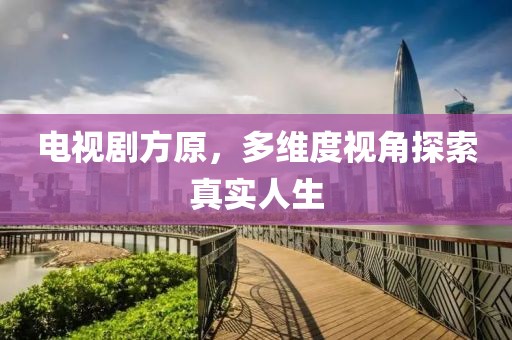 电视剧方原，多维度视角探索真实人生