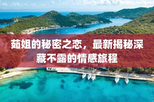 茹姐的秘密之恋，最新揭秘深藏不露的情感旅程