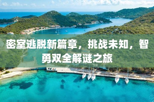 密室逃脱新篇章，挑战未知，智勇双全解谜之旅