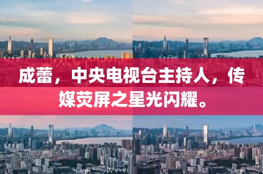 成蕾，中央电视台主持人，传媒荧屏之星光闪耀。