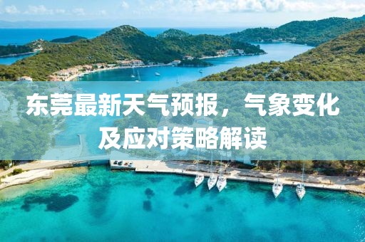 东莞最新天气预报，气象变化及应对策略解读