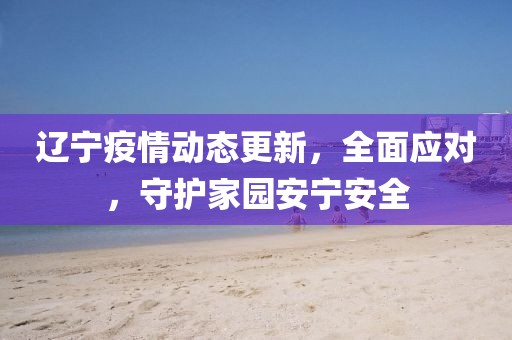 辽宁疫情动态更新，全面应对，守护家园安宁安全