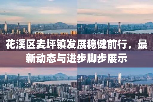 花溪区麦坪镇发展稳健前行，最新动态与进步脚步展示