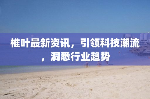椎叶最新资讯，引领科技潮流，洞悉行业趋势