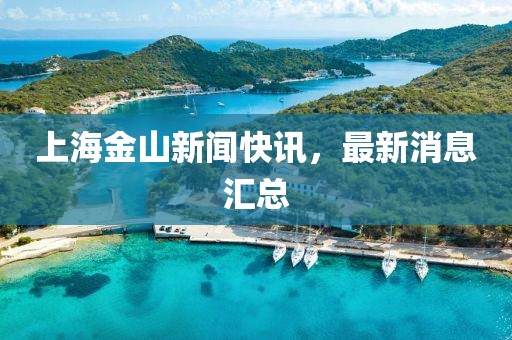 上海金山新闻快讯，最新消息汇总