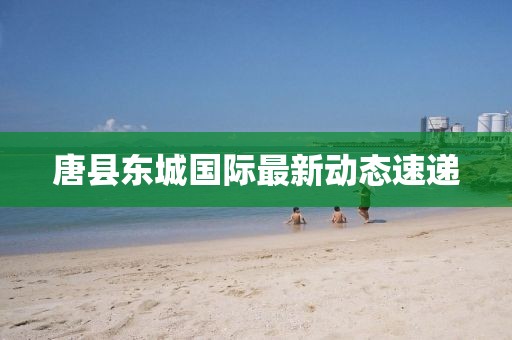 唐县东城国际最新动态速递