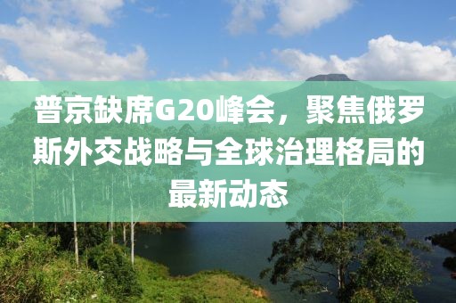 普京缺席G20峰会，聚焦俄罗斯外交战略与全球治理格局的最新动态