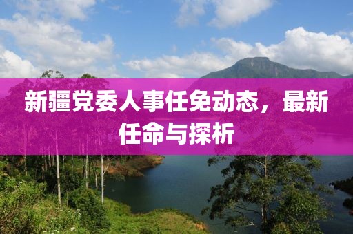 新疆党委人事任免动态，最新任命与探析