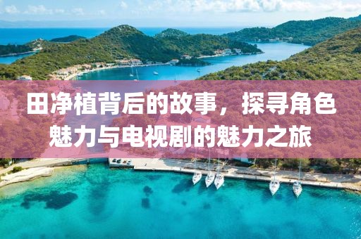 田净植背后的故事，探寻角色魅力与电视剧的魅力之旅