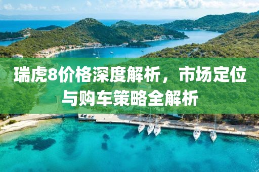 瑞虎8价格深度解析，市场定位与购车策略全解析