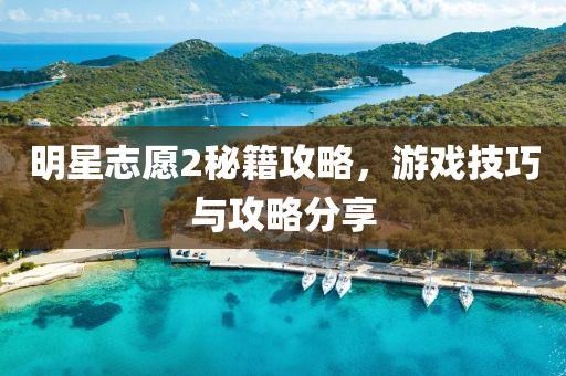 明星志愿2秘籍攻略，游戏技巧与攻略分享