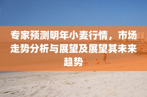专家预测明年小麦行情，市场走势分析与展望及展望其未来趋势