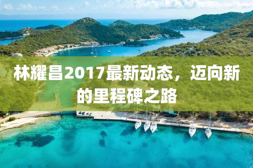 林耀昌2017最新动态，迈向新的里程碑之路